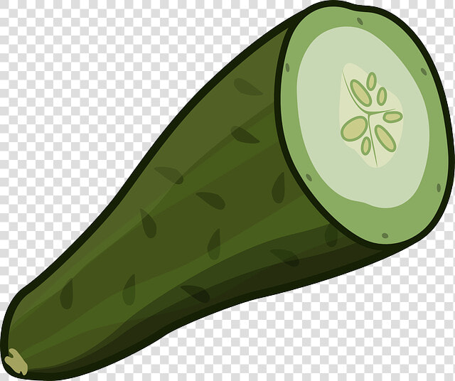 Cucumber  Cut  Green  Vegetable  Nutrition  Fresh   Cut Cucumber Clipart  HD Png DownloadTransparent PNG
