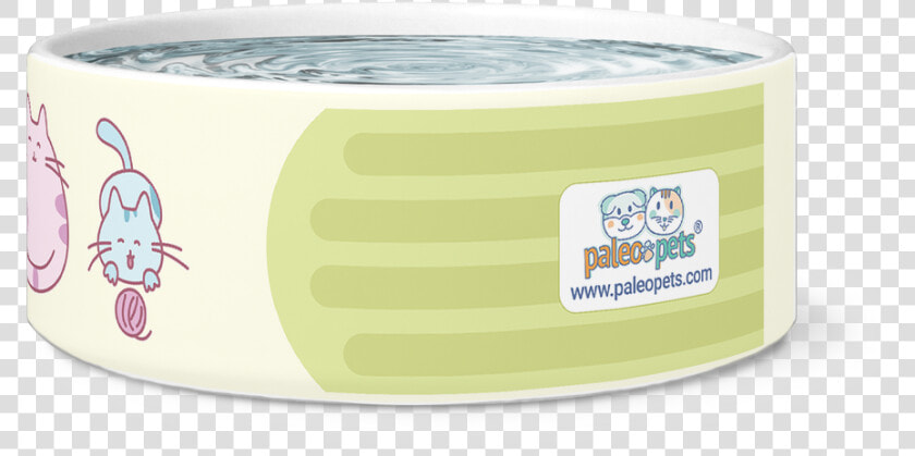 Cat Bowl Funny Cute Cats Class   Sardine  HD Png DownloadTransparent PNG