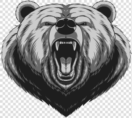 American Black Bear Drawing   Angry Drawing Grizzly Bear  HD Png DownloadTransparent PNG