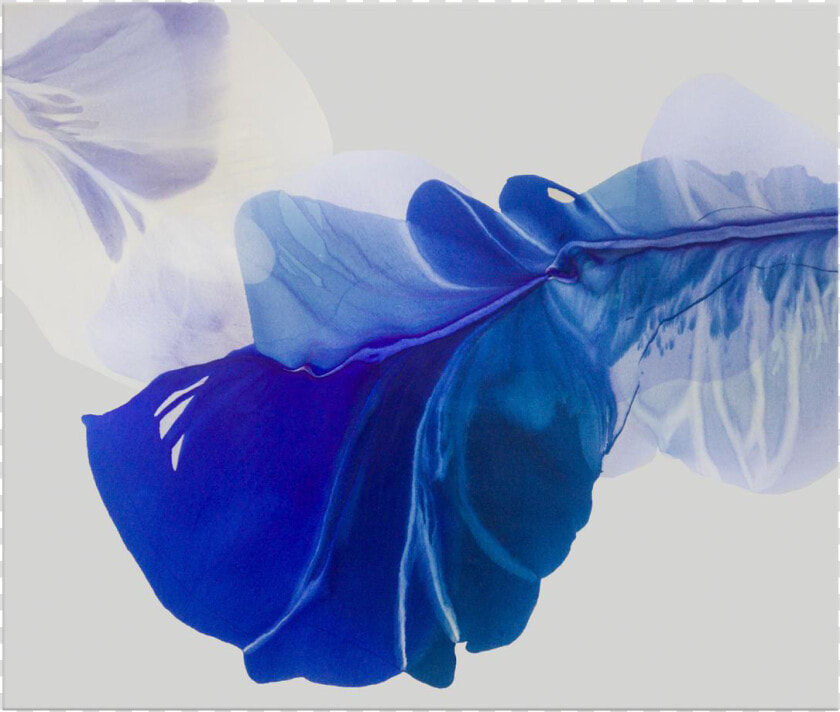 Chairish Small Logo   Flower Abstract Watercolor Painting  HD Png DownloadTransparent PNG