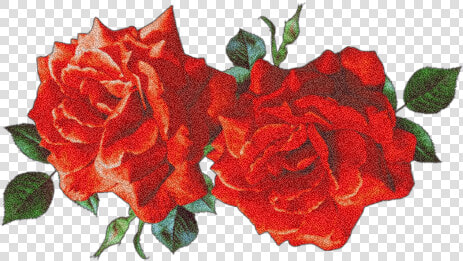  sticker  flower  rose  roses  aesthetic  red  remix   Aesthetic Red Flowers Transparent  HD Png DownloadTransparent PNG
