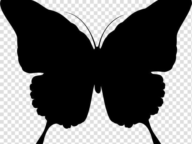 Transparent Gitarre Clipart   Silhouette Of Butterfly Png  Png DownloadTransparent PNG