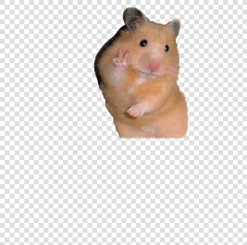 Transparent Hamster Clipart Cute   Hamster Peace Sign Sticker  HD Png DownloadTransparent PNG