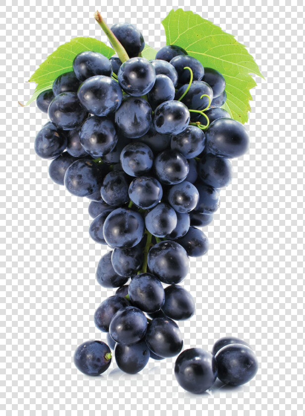 Grapes Free Png   Grapes Png  Transparent PngTransparent PNG