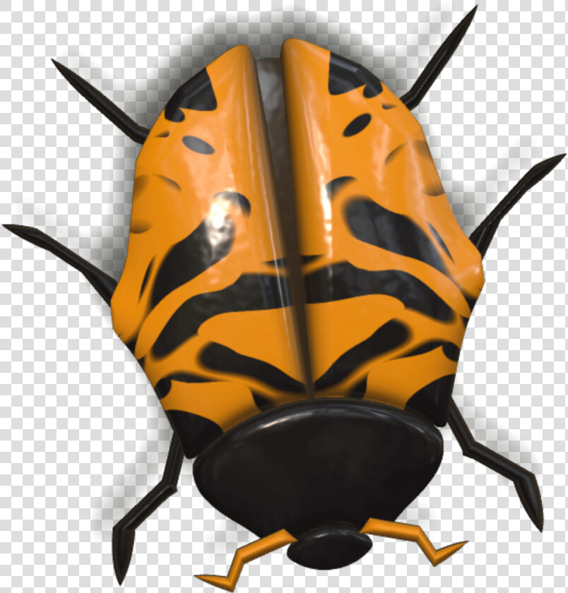 Ladybug Yellow And Black Head Down   Ladybird Beetle  HD Png DownloadTransparent PNG