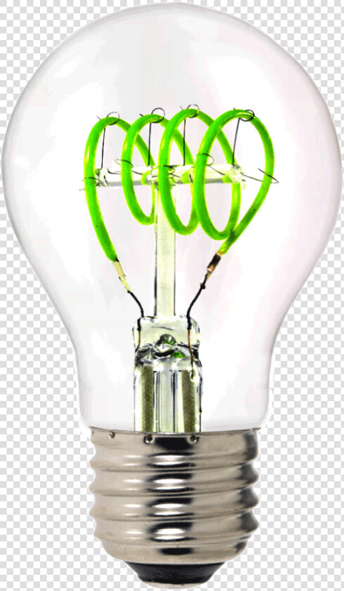 34049d 1 Main Image   Incandescent Light Bulb  HD Png DownloadTransparent PNG