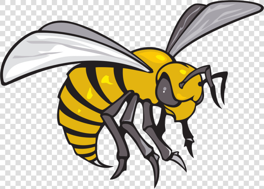 Alabama State Hornets Logo  HD Png DownloadTransparent PNG
