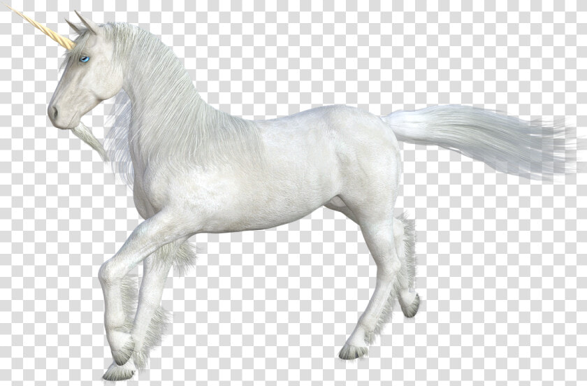 Unicorn  Horse  Mythical Creatures  Horn  Fairy Tales  HD Png DownloadTransparent PNG
