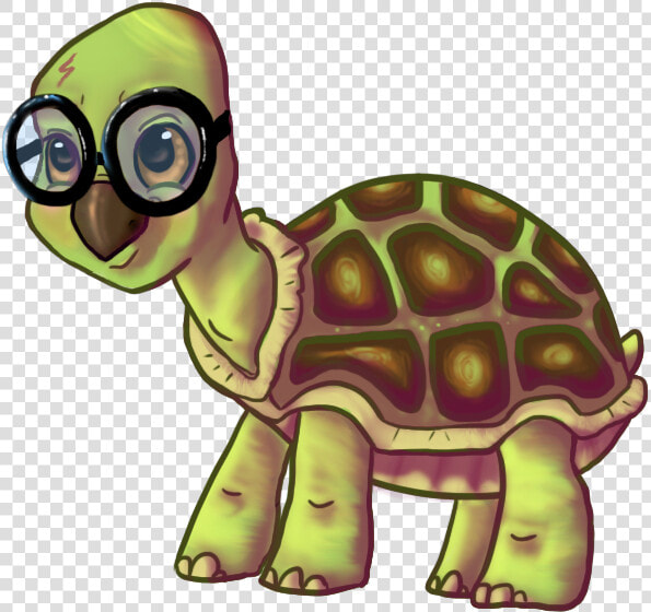 Old Turtle Png   Old Sea Turtle Cartoon  Transparent PngTransparent PNG