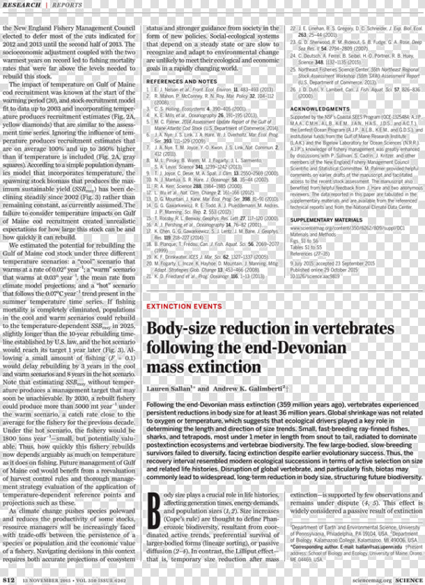 King Mark Of Cornwall Meeting Tristan  HD Png DownloadTransparent PNG