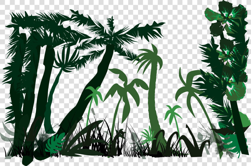 Heart Of Darkness Nostromo Lord Jim Under Western Eyes   Jungle Plants Vector  HD Png DownloadTransparent PNG