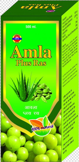 Amla Fruit  HD Png DownloadTransparent PNG