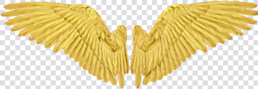  gold  wing  wings  angel  angelwings   Drawing  HD Png DownloadTransparent PNG