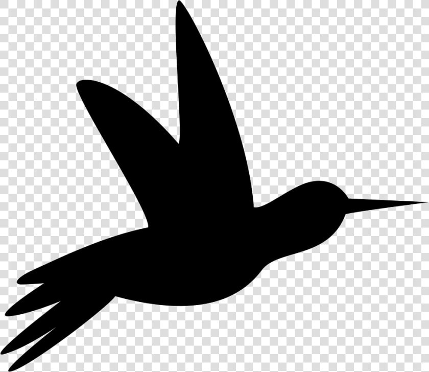 Humming Bird Black Side Silhouette   Silueta Colibri  HD Png DownloadTransparent PNG