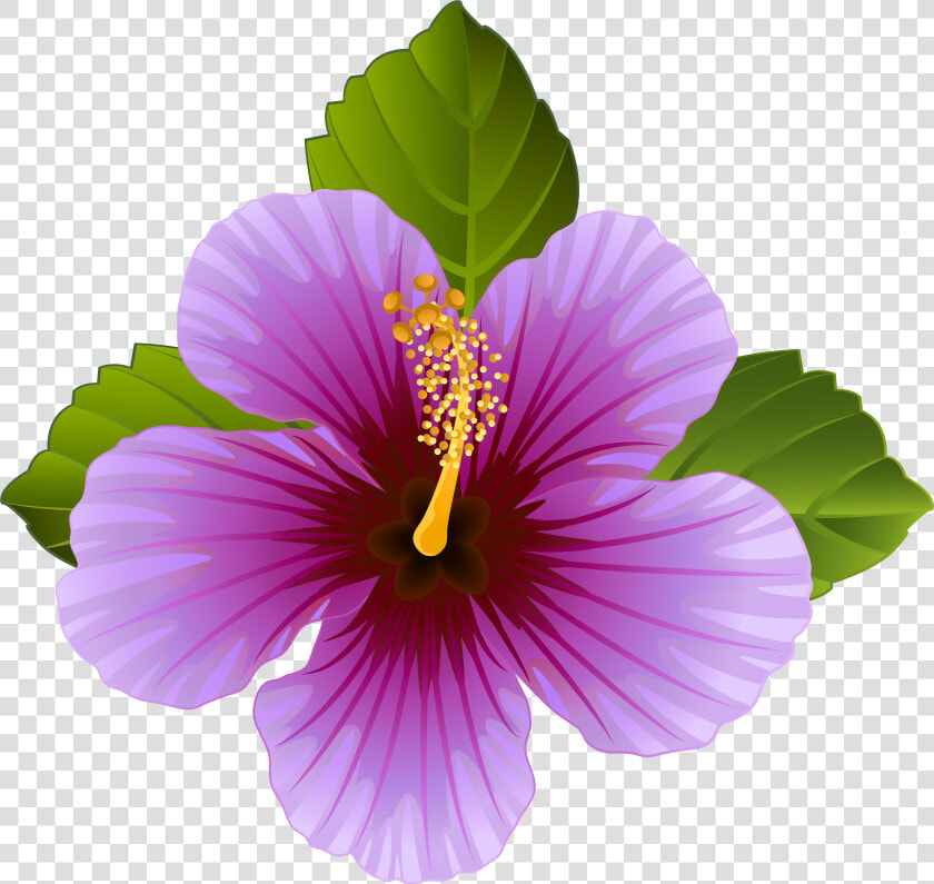 Hibiscus Clipart Violet Flower   Transparent Purple Flower Clipart  HD Png DownloadTransparent PNG