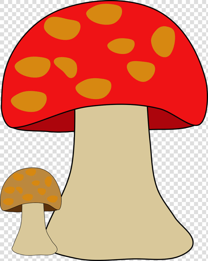 Fungi Fungus Mushroom Free Photo   Animasi Jamur Tiram Png  Transparent PngTransparent PNG