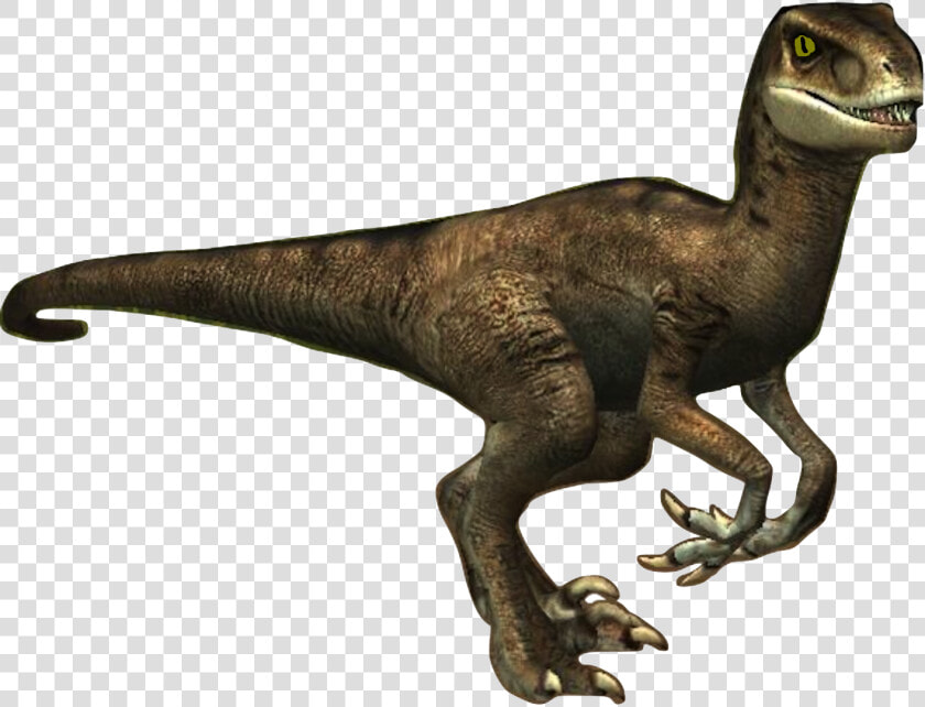 Donna The Velociraptor   Velociraptor Transparent  HD Png DownloadTransparent PNG