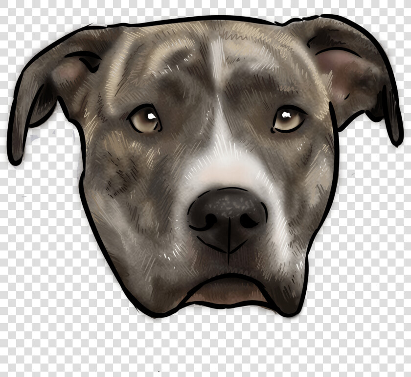 American Staffordshire Terrier  HD Png DownloadTransparent PNG