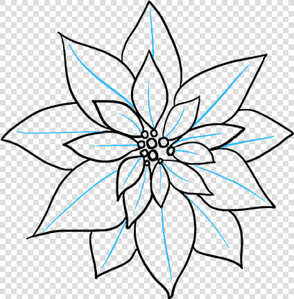 How To Draw Poinsettia   Drawing Of A Poinsettia  HD Png DownloadTransparent PNG