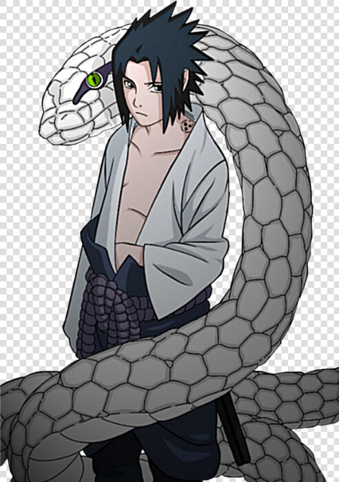 Sasuke And His Snake  HD Png DownloadTransparent PNG