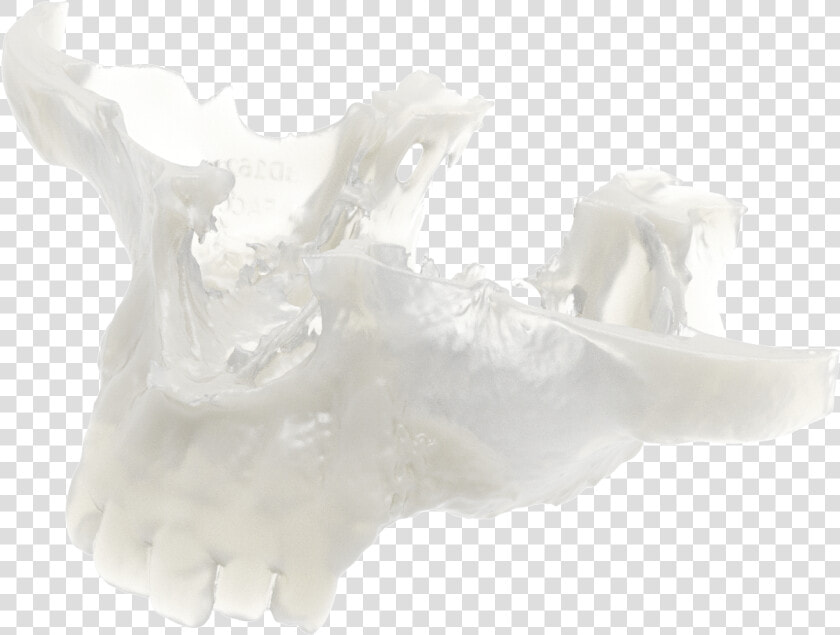 Still Life Photography  HD Png DownloadTransparent PNG