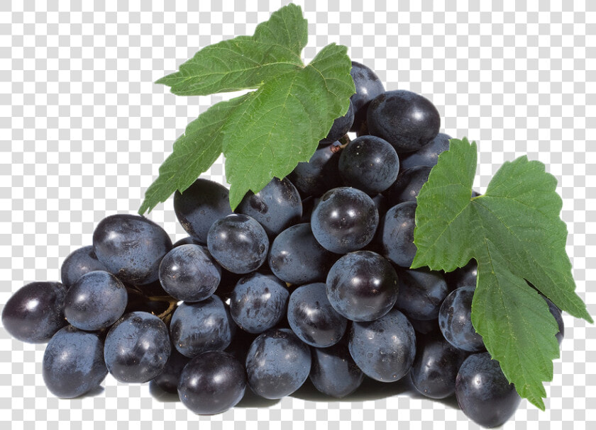 Black Grapes Png Free Download   Seedless Fruit  Transparent PngTransparent PNG