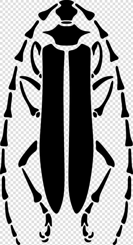 Hieroglyphics Drawing Scarab Beetle Transparent Png   Beetle Stencil  Png DownloadTransparent PNG