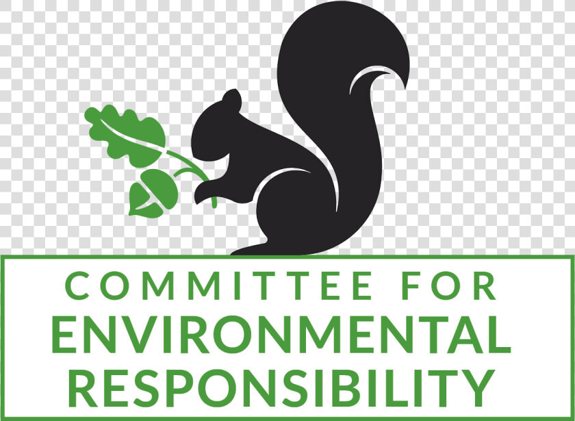 A Black Squirrel Holding A Green Leaf   Fox Squirrel  HD Png DownloadTransparent PNG