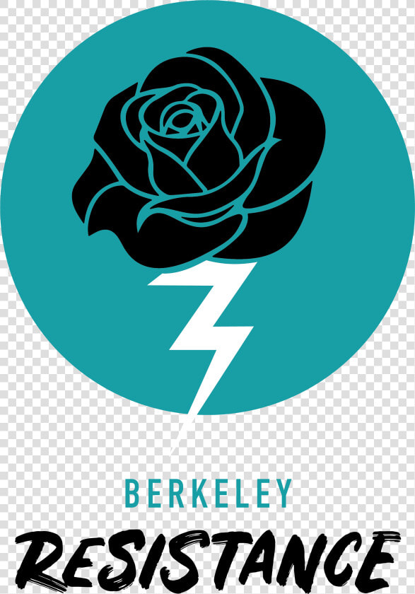 Floribunda  HD Png DownloadTransparent PNG