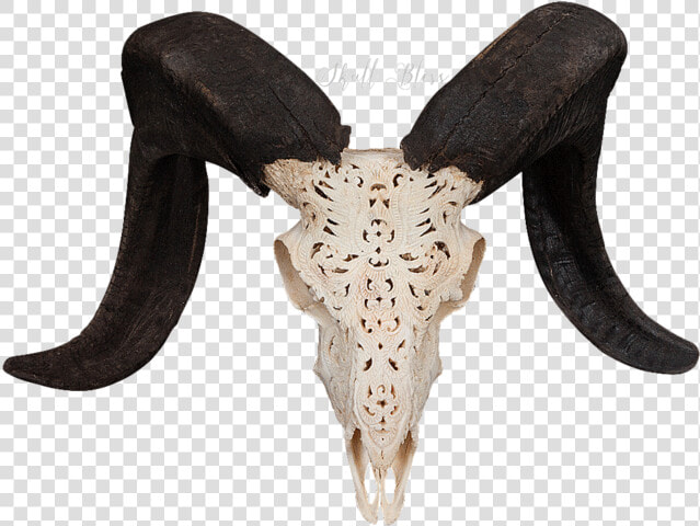 Carved Ram Skull   Ram Skull Png Transparent  Png DownloadTransparent PNG