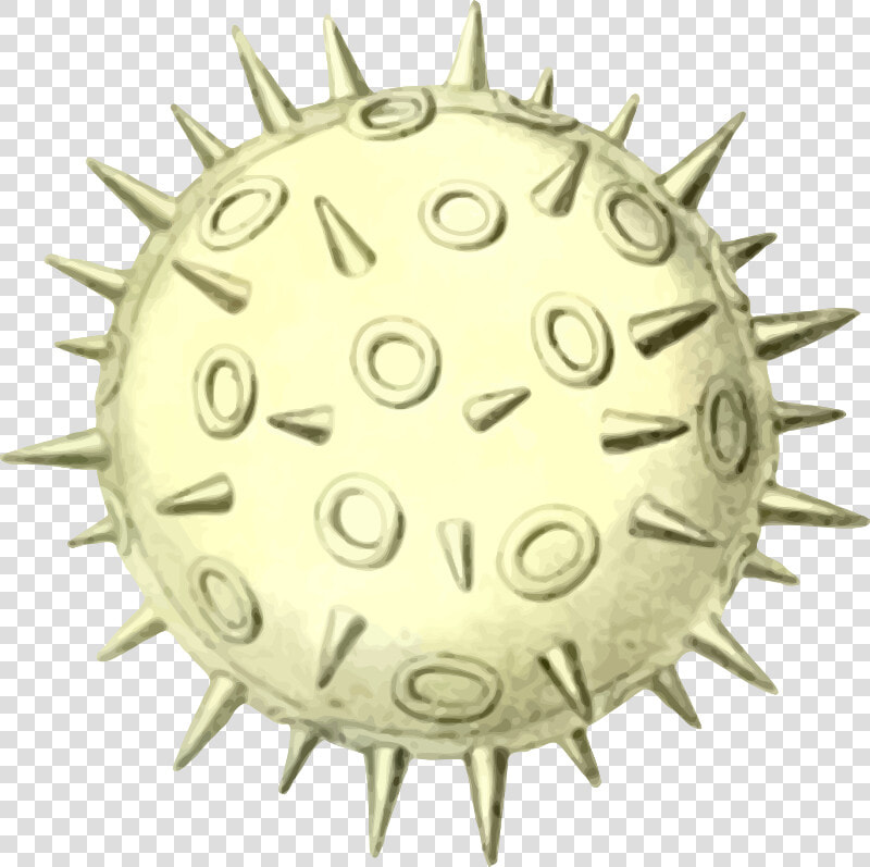 Circle organism pollen   Spore Clipart  HD Png DownloadTransparent PNG