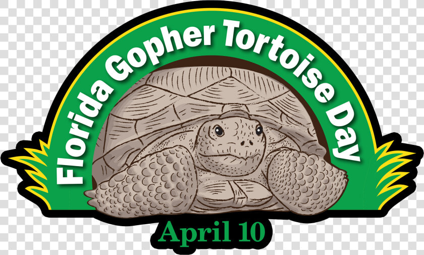 Gopher Tortoise Day   Florida Gopher Tortoise Day  HD Png DownloadTransparent PNG