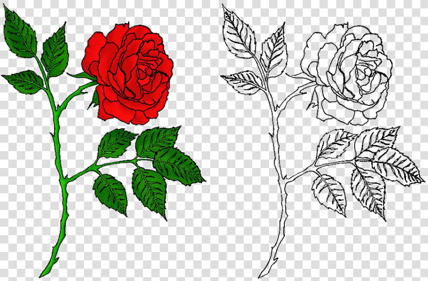 Rose Tattoo Png Free Download   Free Tattoo Design Rose  Transparent PngTransparent PNG