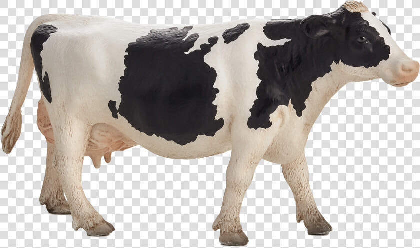 Dairy Cow Png   Mojo Holstein Cow  Transparent PngTransparent PNG