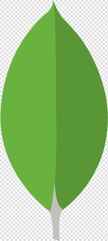 Icon Mongodb Logo  HD Png DownloadTransparent PNG