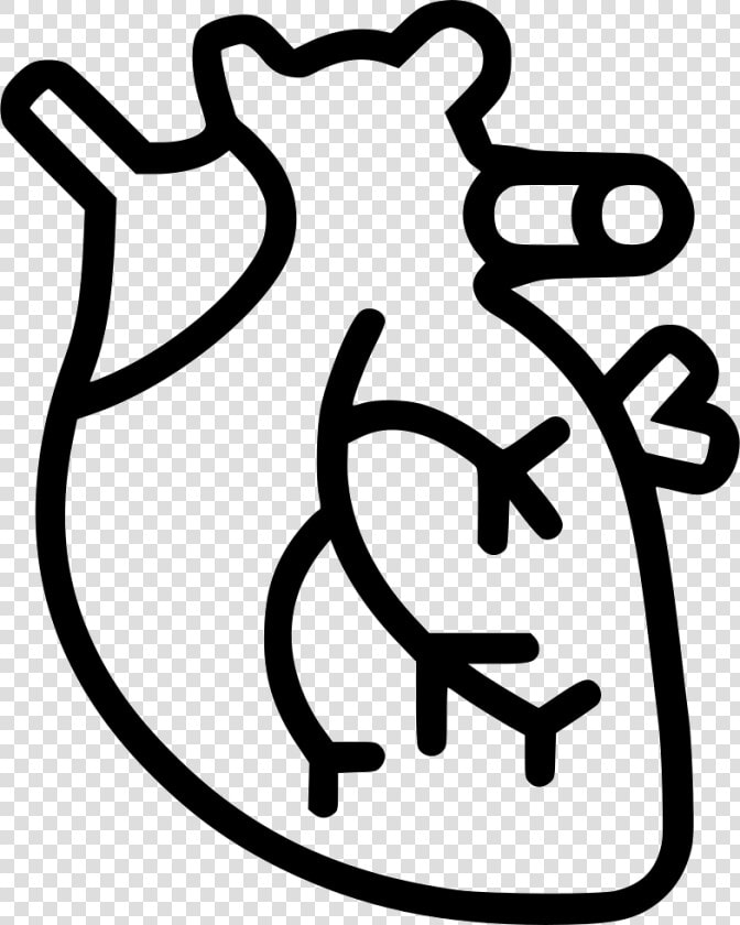 Cardiac Png Icon Free  Transparent PngTransparent PNG