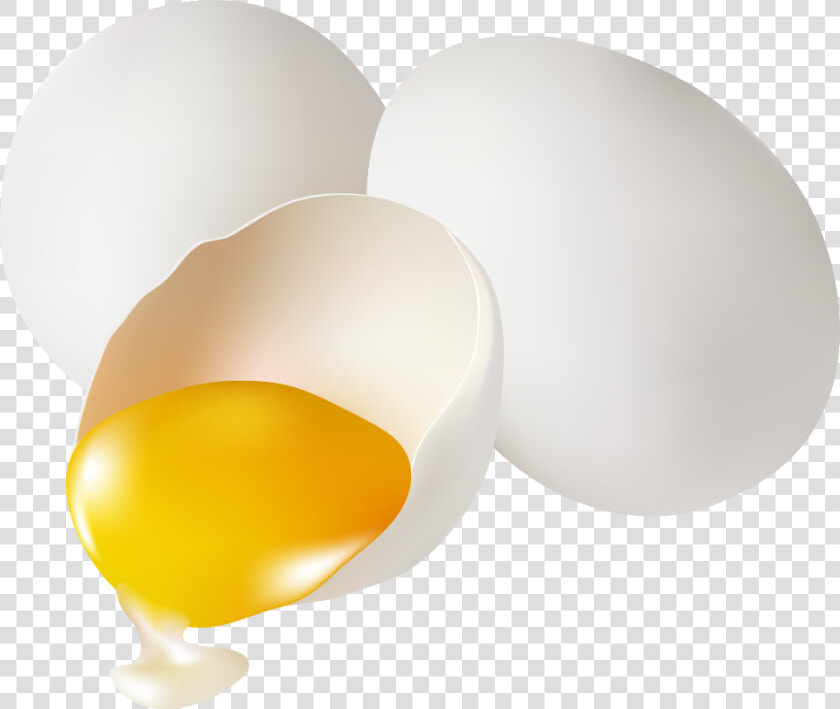 Still Life Photography  HD Png DownloadTransparent PNG