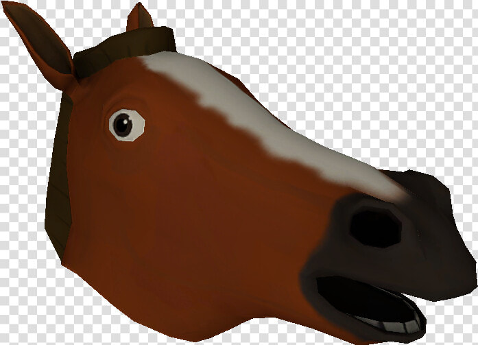 Horse Mask 10 000 Points   Sorrel  HD Png DownloadTransparent PNG