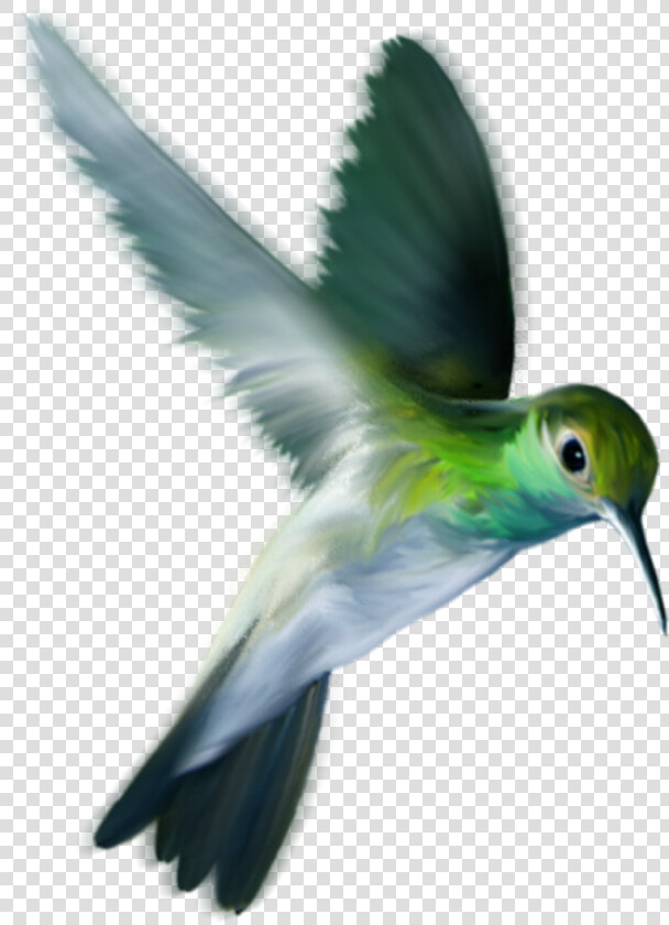 Sunglass Png For Picsart  Transparent PngTransparent PNG
