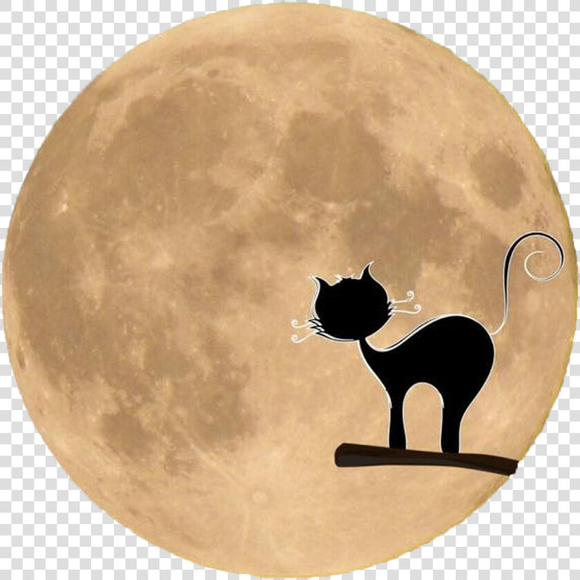 Free Black Cat Silhouette In Front Of The Moon Png   Free Black Cat Halloween Silhouette  Transparent PngTransparent PNG