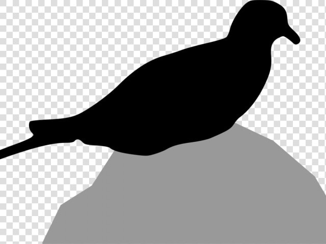 Turtle Dove Clipart Holy Spirit   Pigeons And Doves  HD Png DownloadTransparent PNG