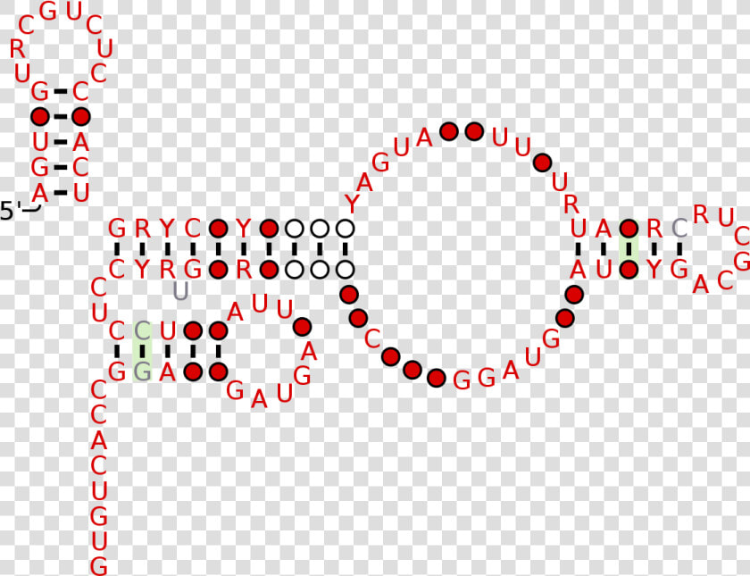 Saliva Png  Transparent PngTransparent PNG
