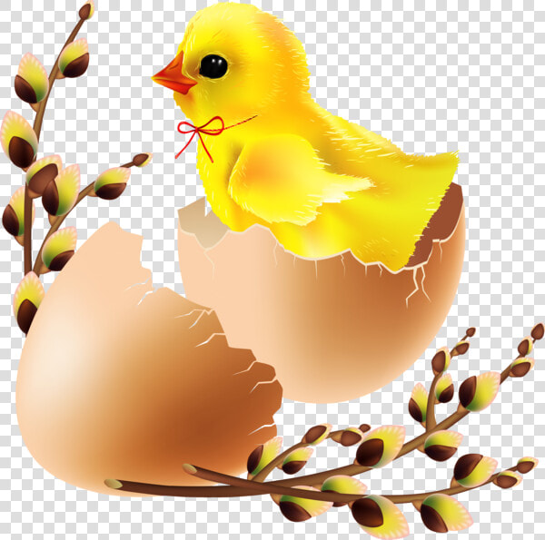 Transparent Easter Egg Water Bird Egg For Easter   Duck  HD Png DownloadTransparent PNG
