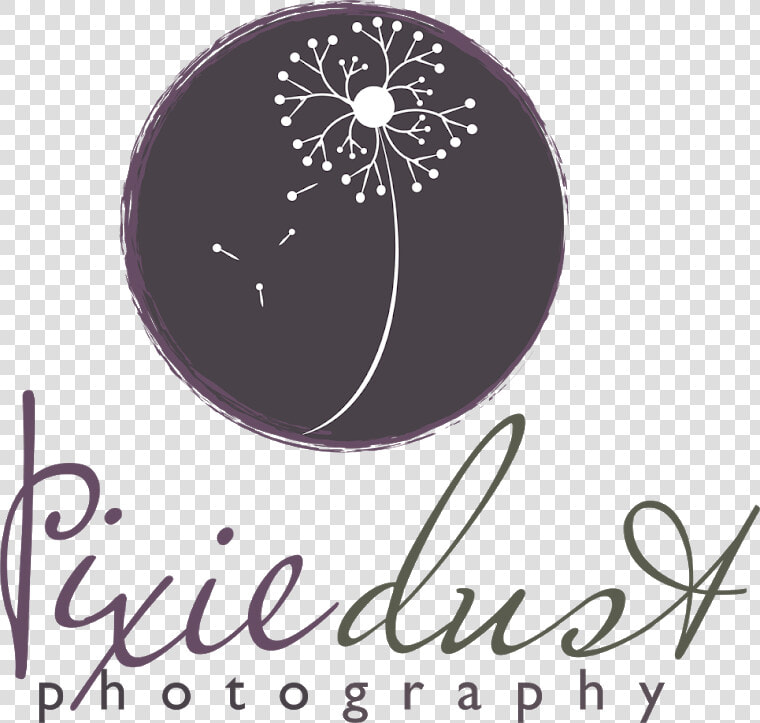 Pixie Dust Photography   Calligraphy  HD Png DownloadTransparent PNG