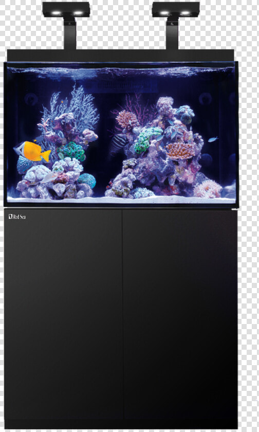 Red Sea Max E 260  HD Png DownloadTransparent PNG
