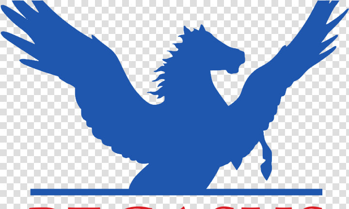 Canberra Special Olympics Act  HD Png DownloadTransparent PNG