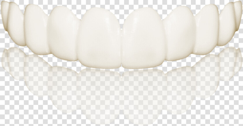 Fang  HD Png DownloadTransparent PNG