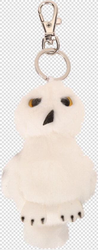Hedwig  HD Png DownloadTransparent PNG