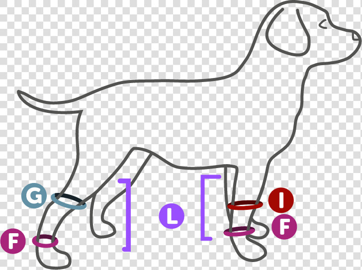 Knee Compression Sleeve For Dogs  HD Png DownloadTransparent PNG