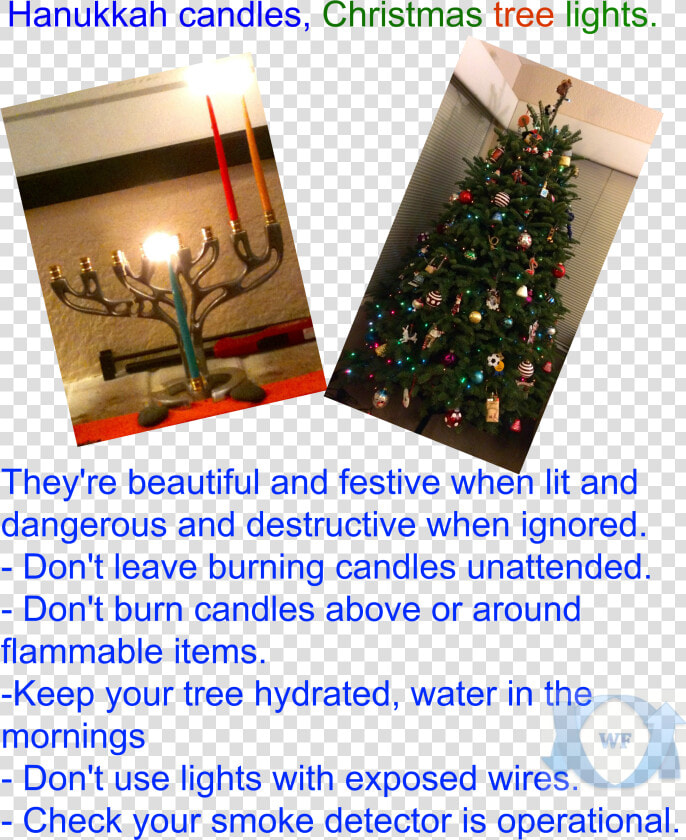 Hanukkah Candles  Christmas Tree Lights Festive Dangers   Christmas Tree  HD Png DownloadTransparent PNG